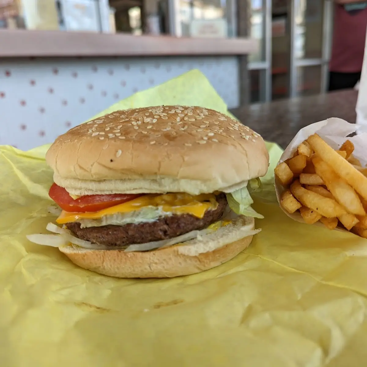 Cheese Burger and Fries