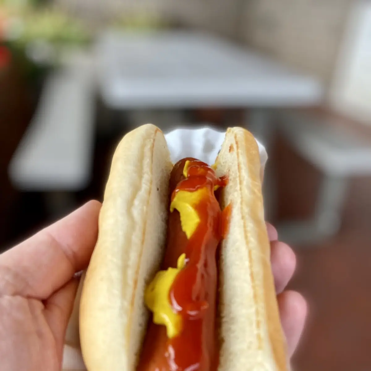 Hot Dog