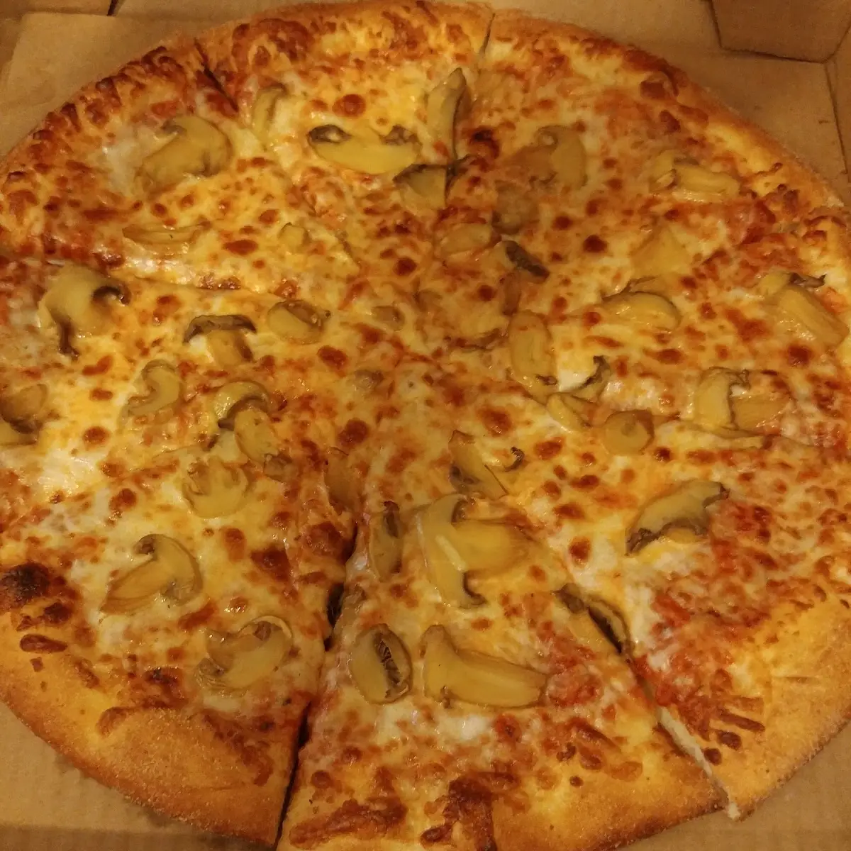 Mushroom Pizza