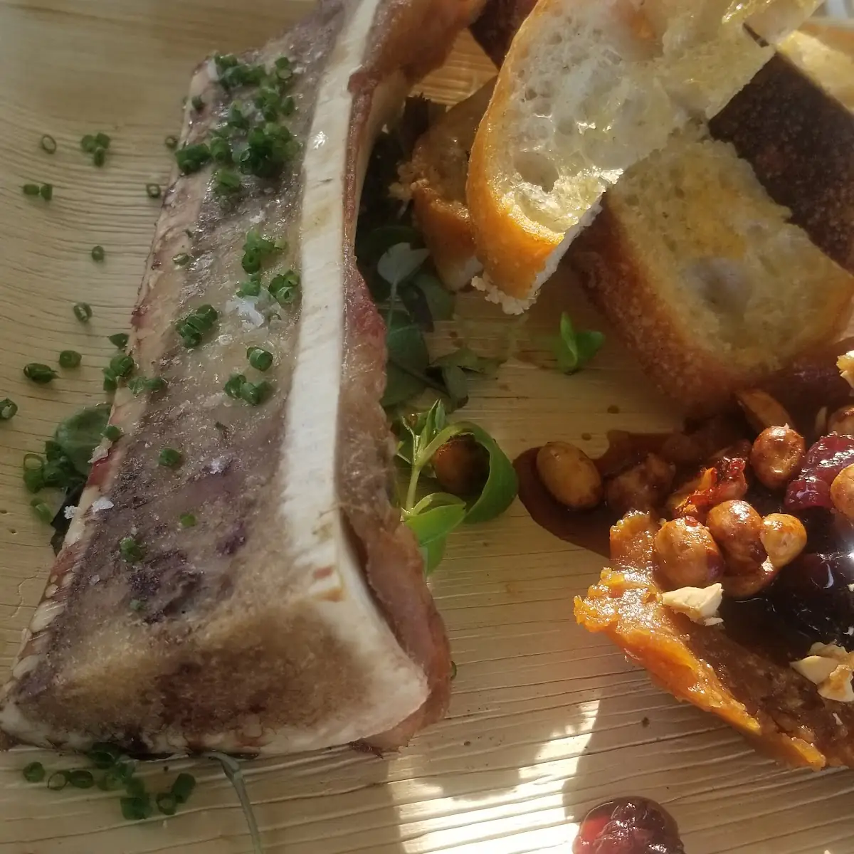 Bone Marrow