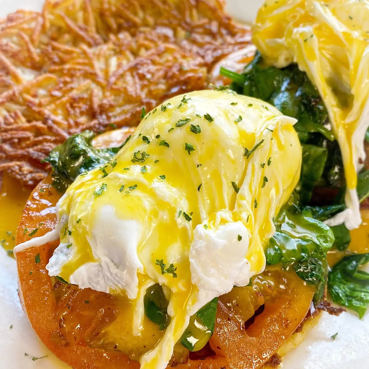 Florentine Benedict
