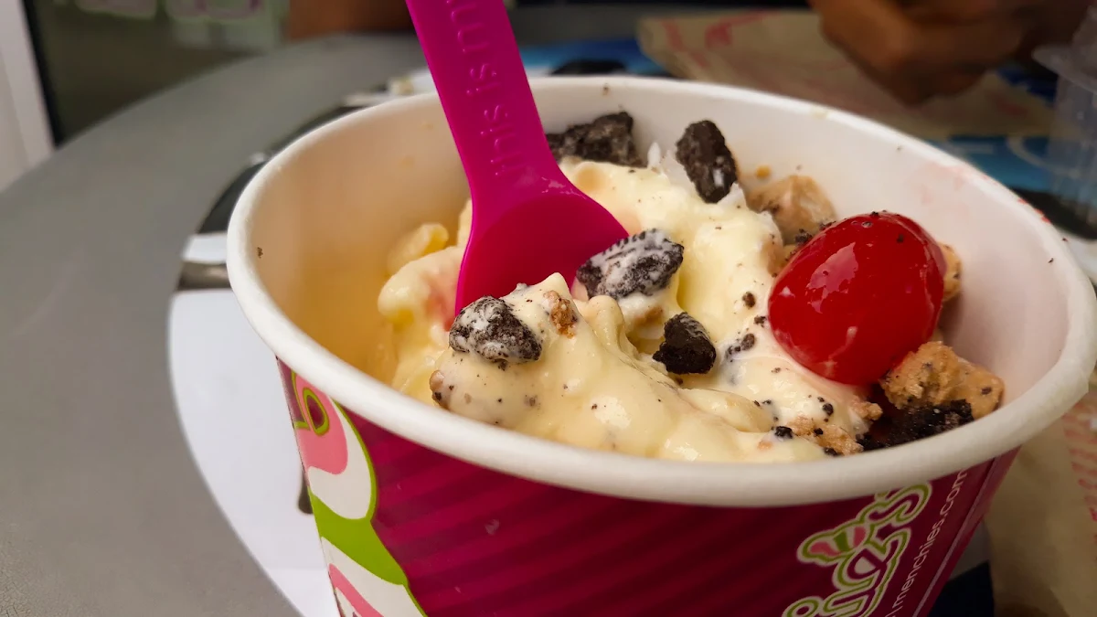 Frozen Yogurt