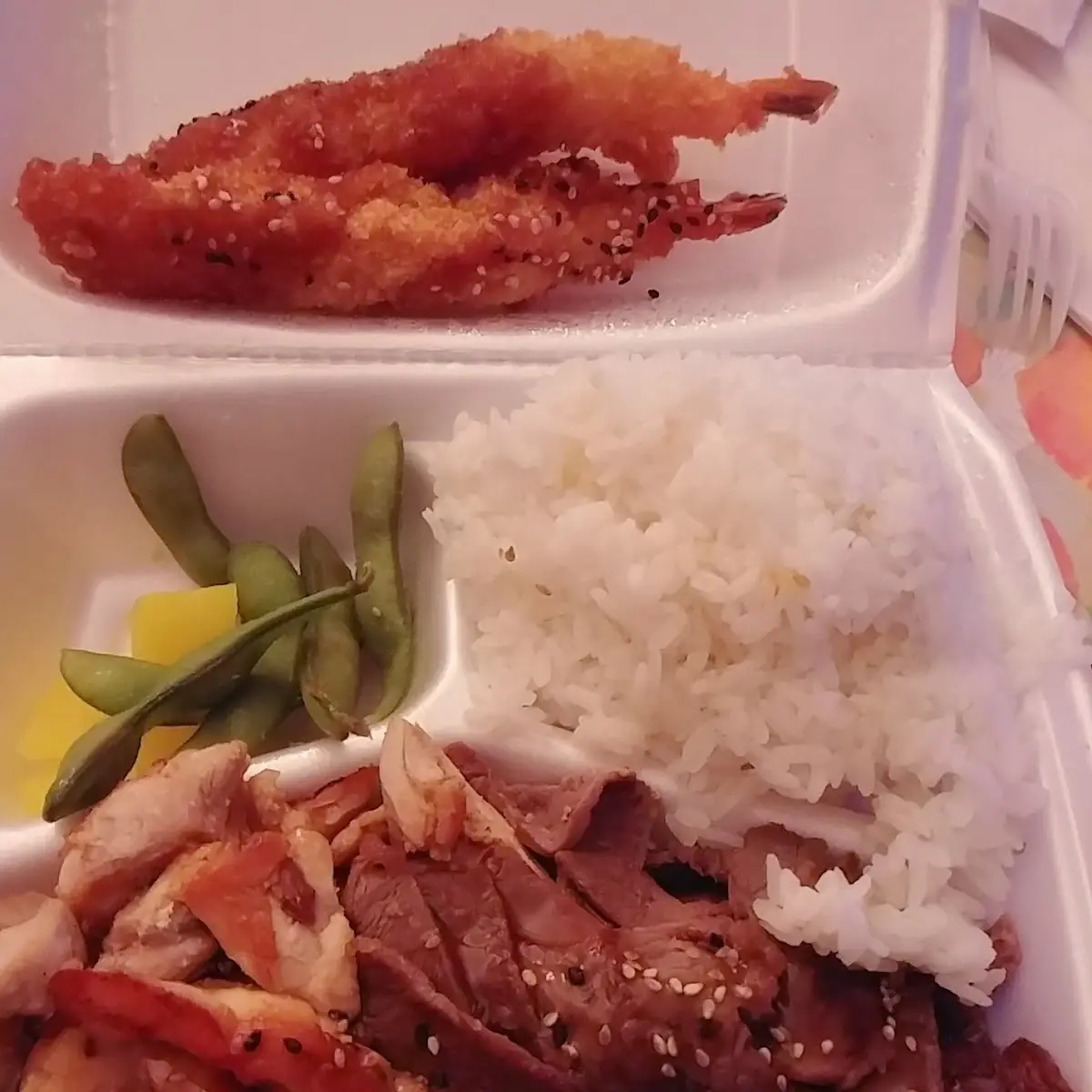 Teriyaki Chicken and Beef