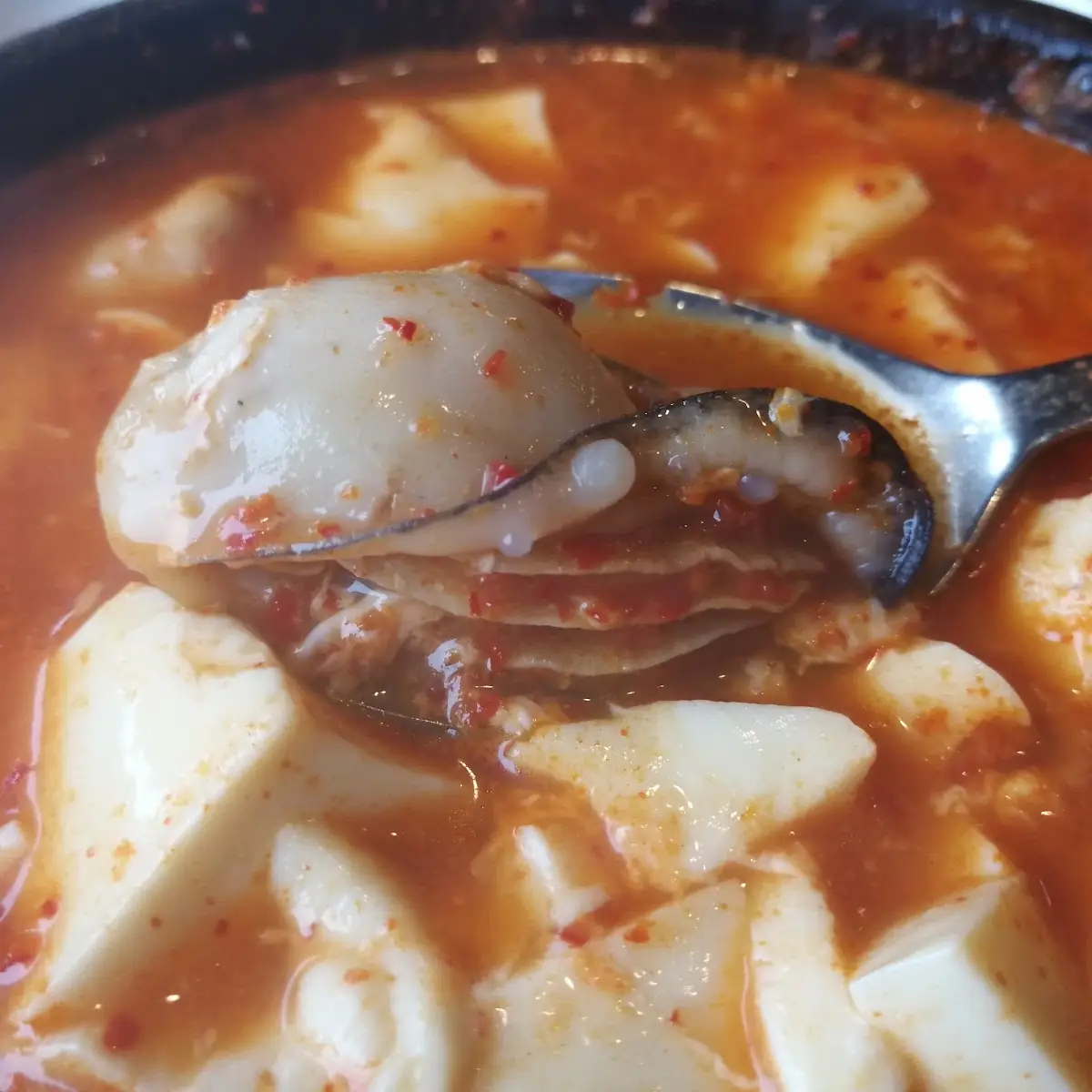 Oyster Tofu Soup