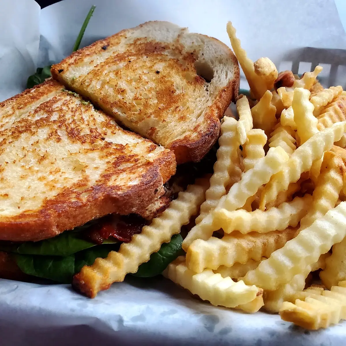 Chicken Bacon Panini