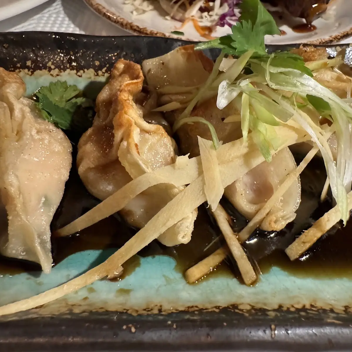 Pan Seared Chicken Dumplings