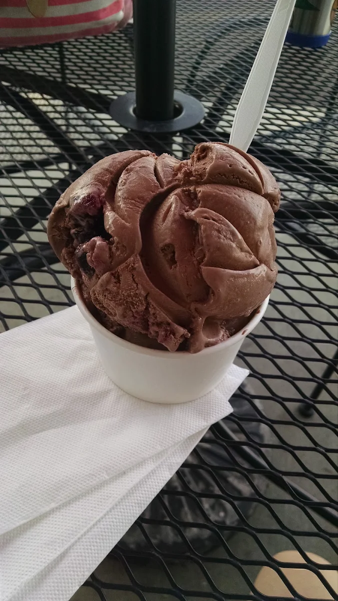 Chocolate Ice Cream