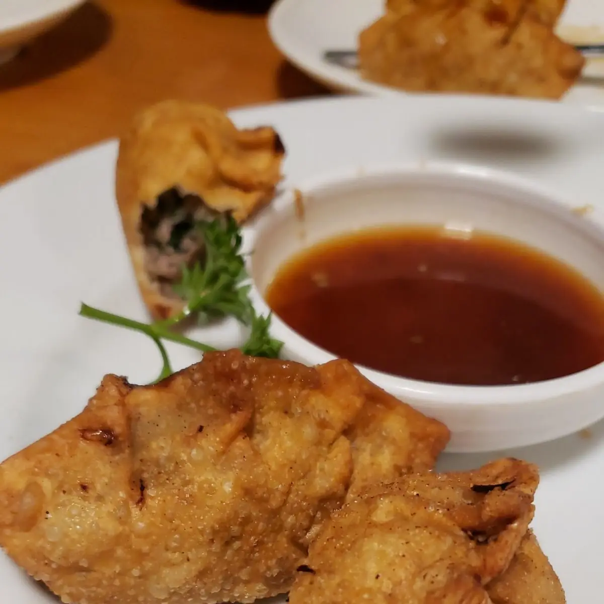 Hand Made Beef Mandu