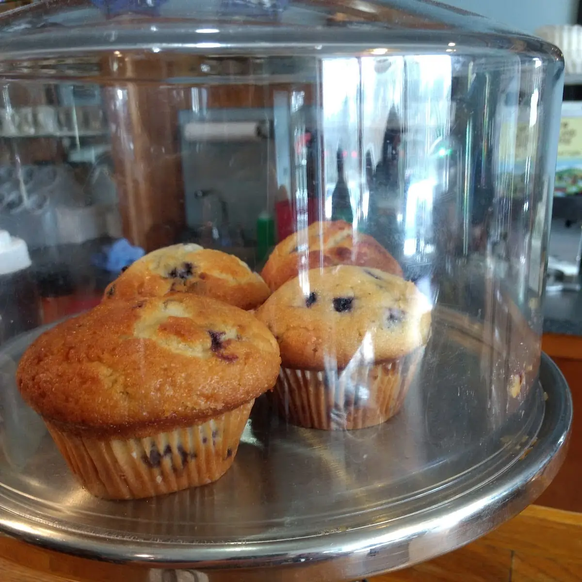 Blueberry Muffin
