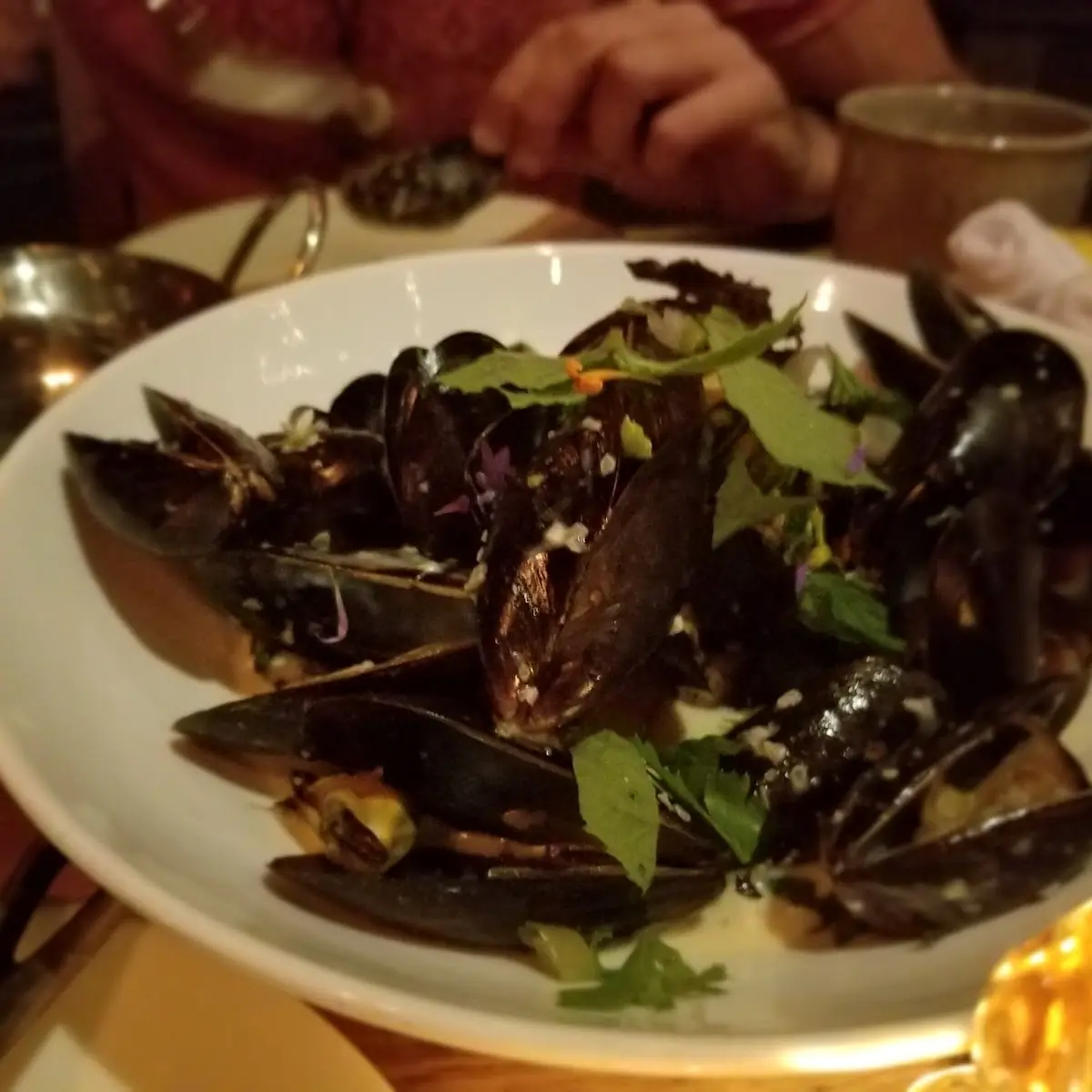 Maine Mussels