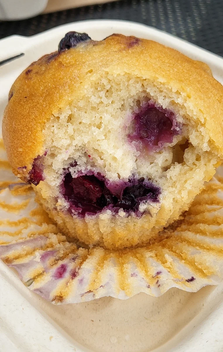 Blueberry Muffin