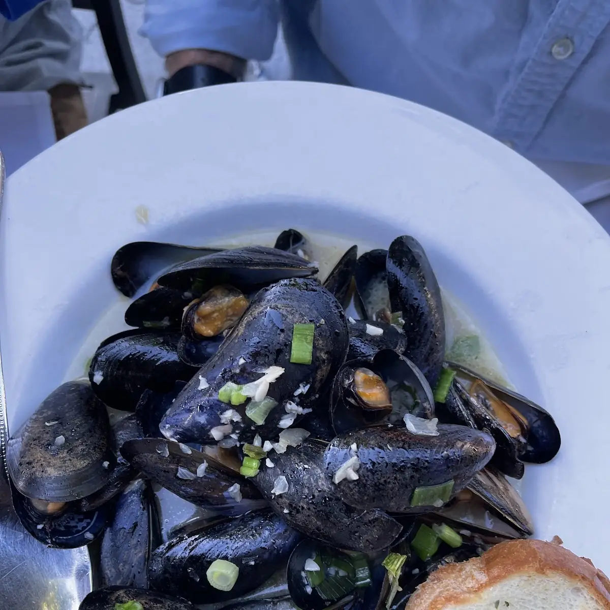 Pan Seared Mussels or Clams