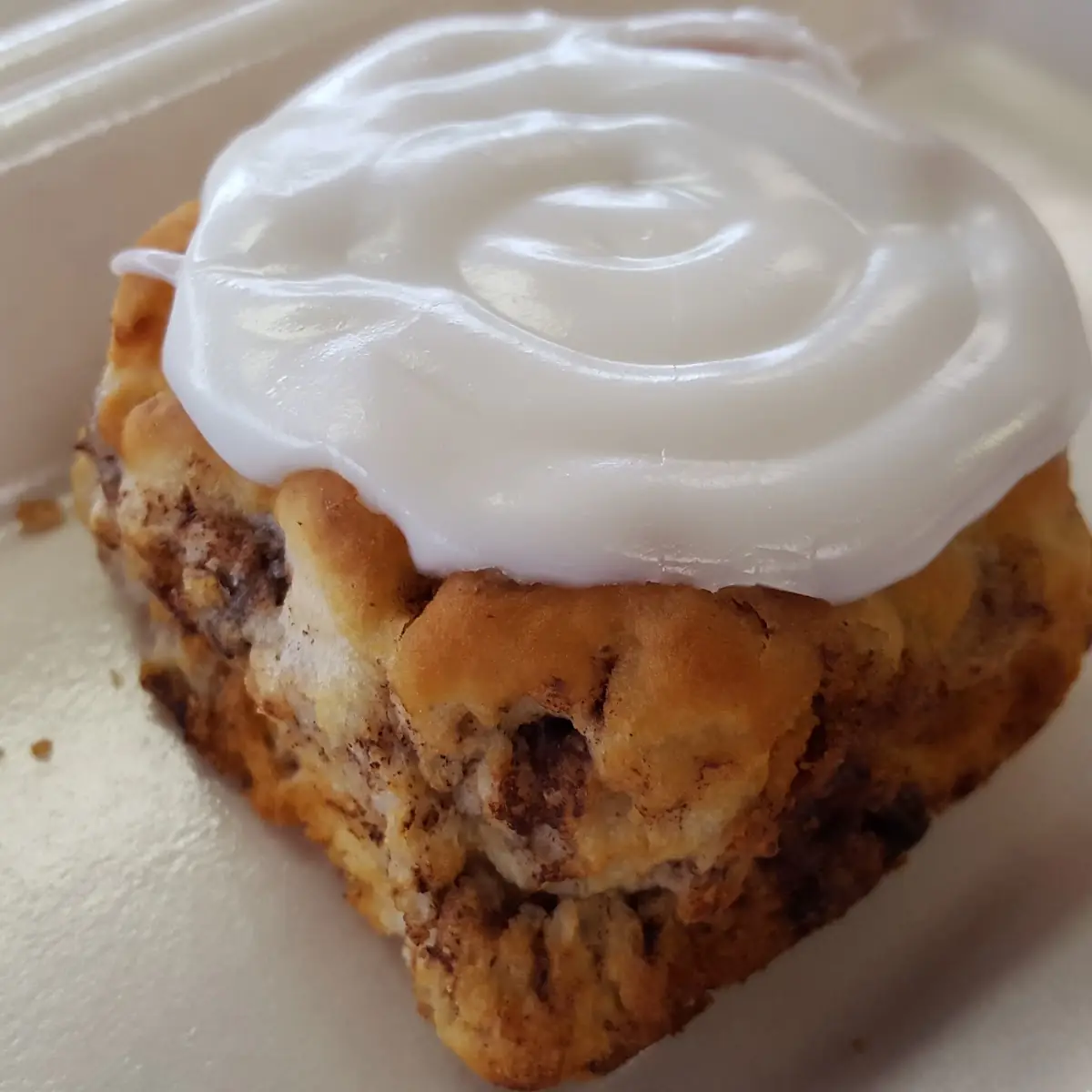 Cinnamon Raisin Biscuit