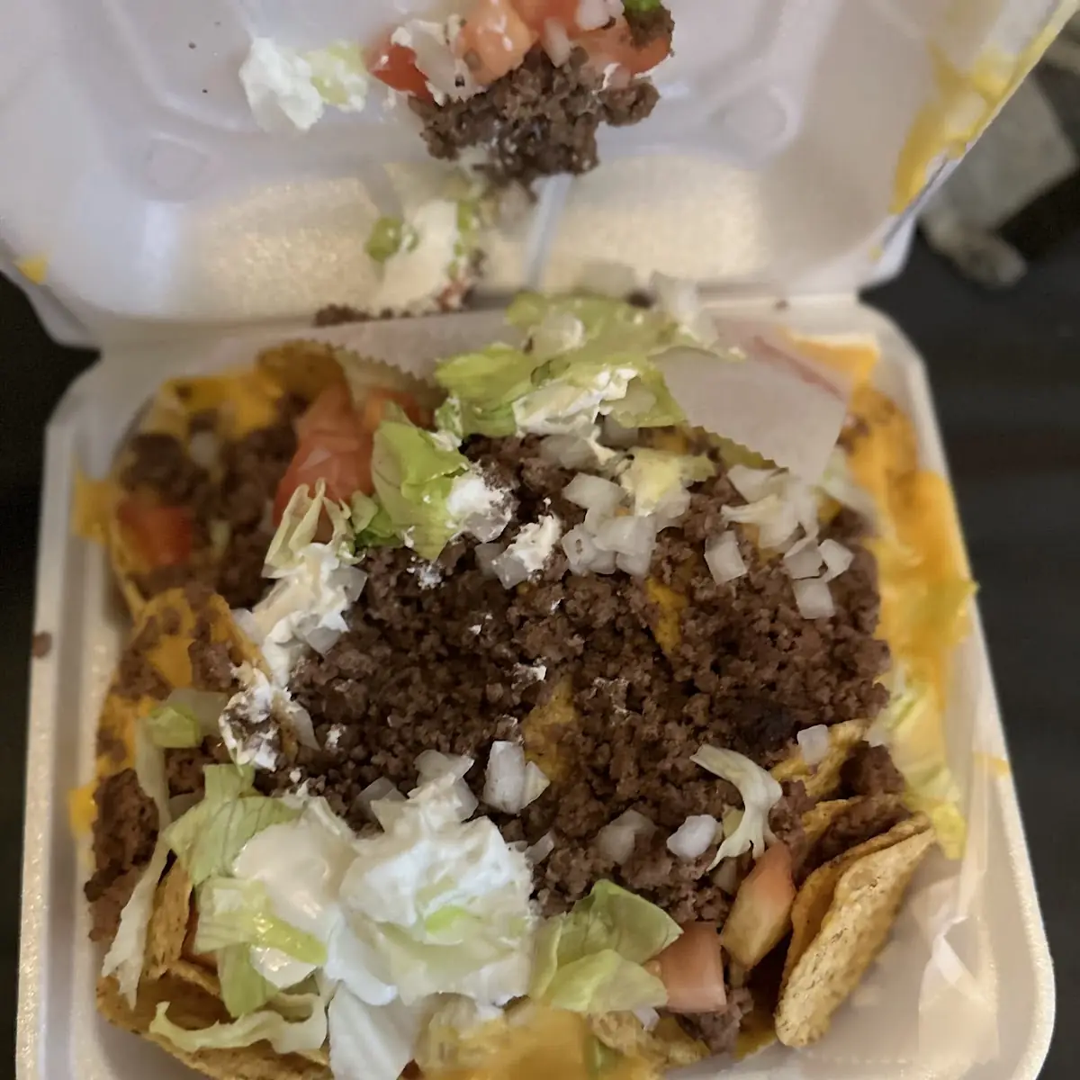 Carne Asada Fries