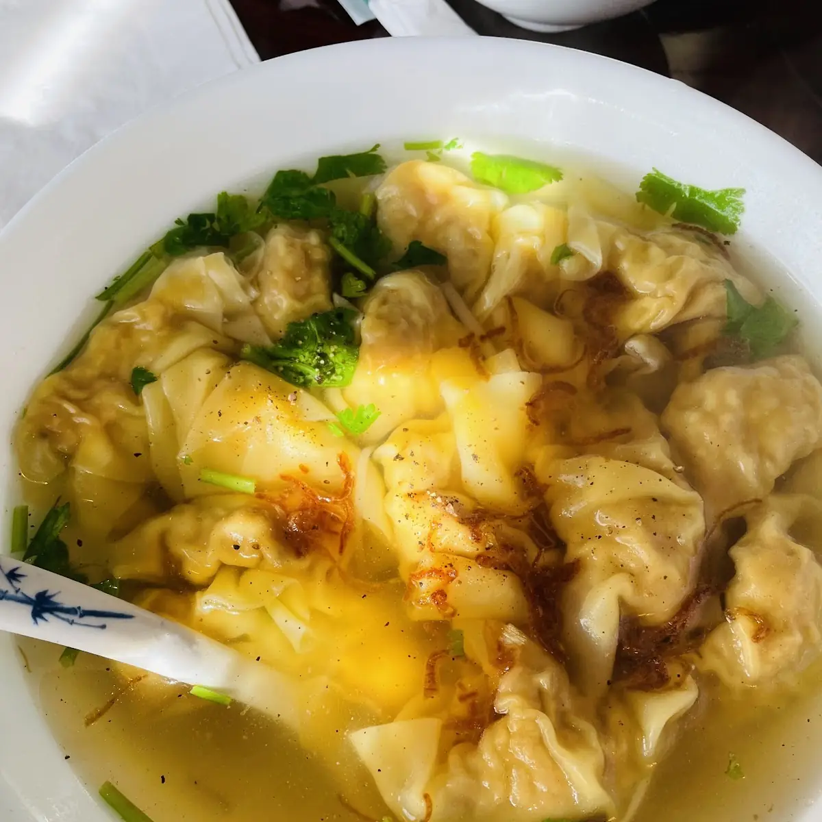 Wonton Soup