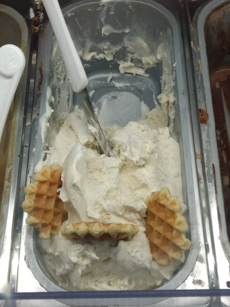 Madagascar Vanilla Bean Gelato