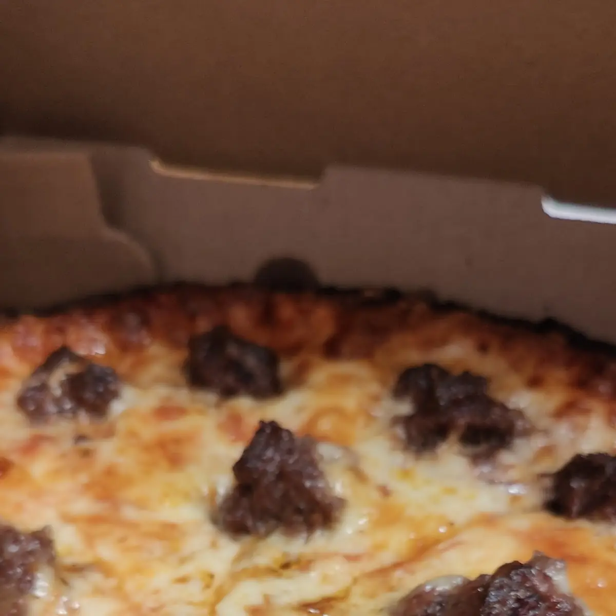 Double Hamburger Extra Cheese Pizza Laced and Cooked Well Done