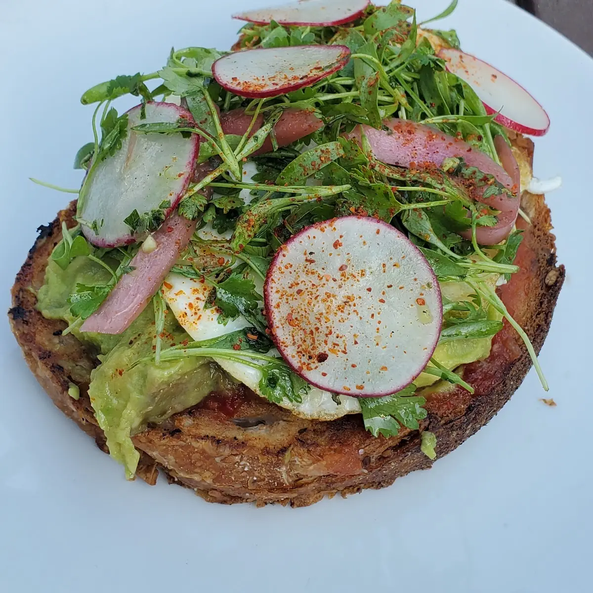 Avocado Toast