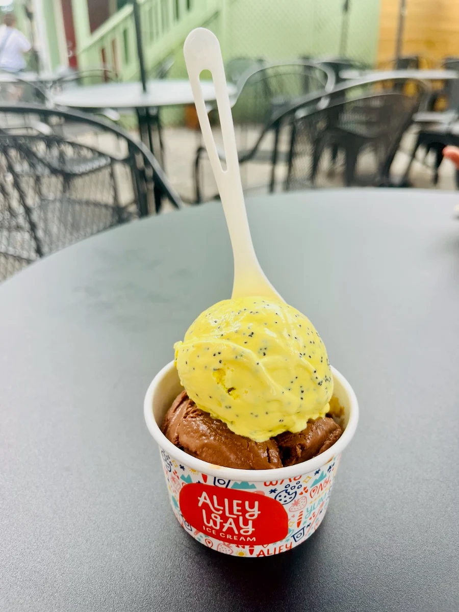 Belgian Chocolate Lemon Poppyseed