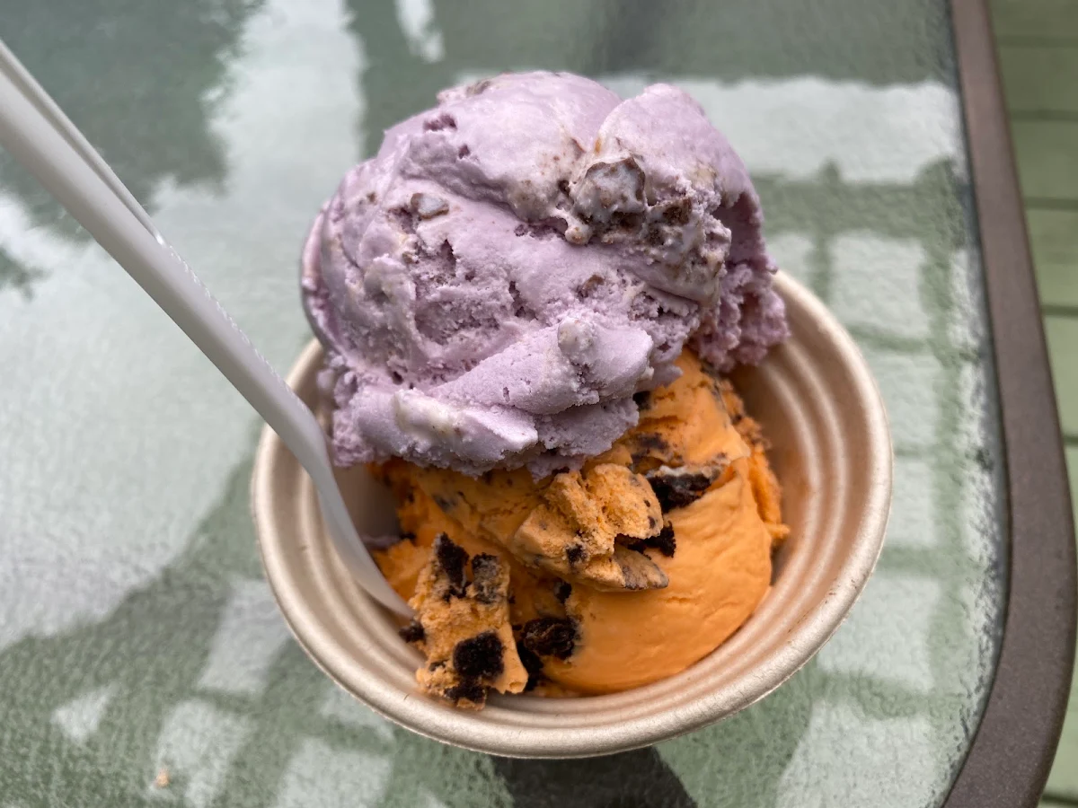 Blueberry Sour Cream Ice Cream