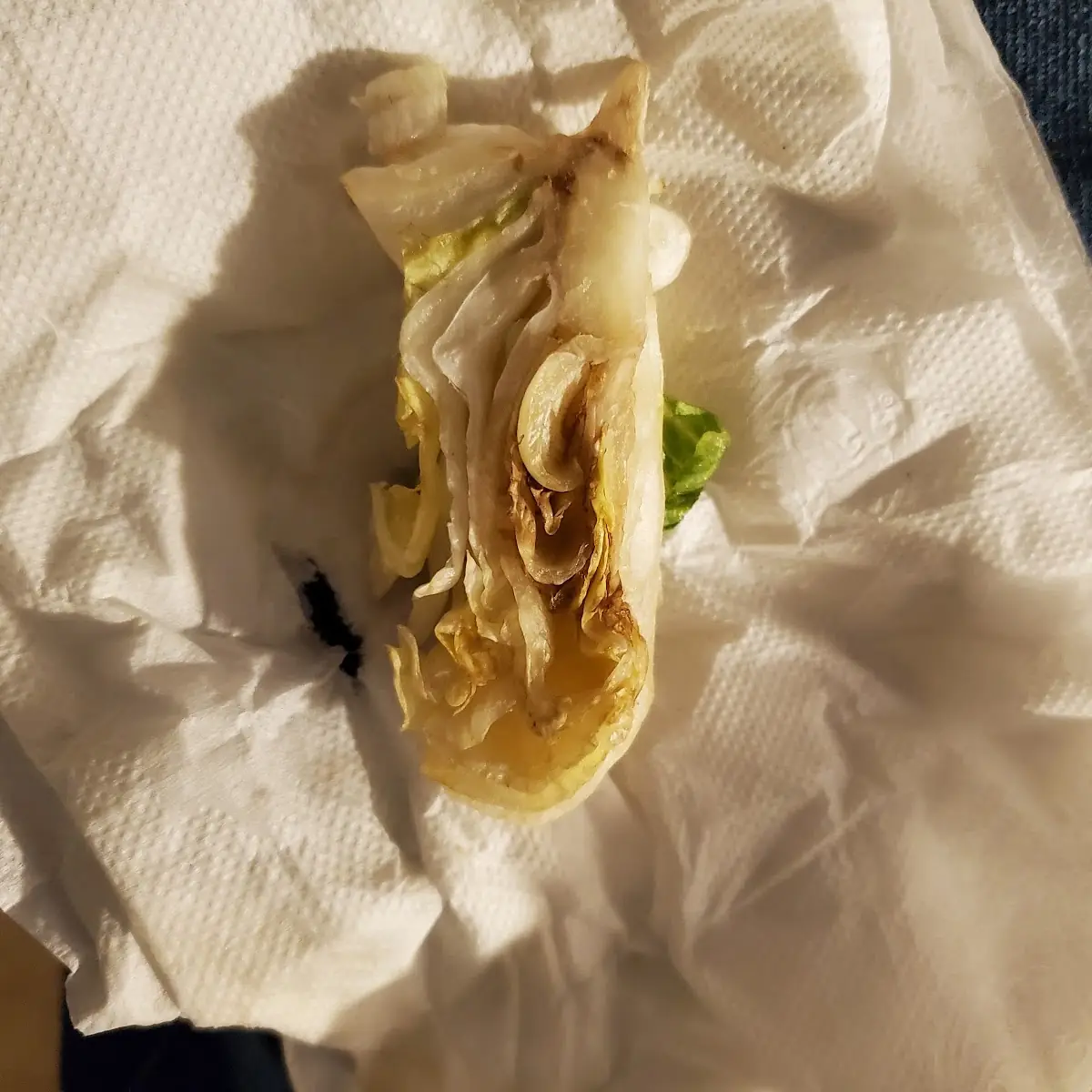 Crispy Chicken Sandwich