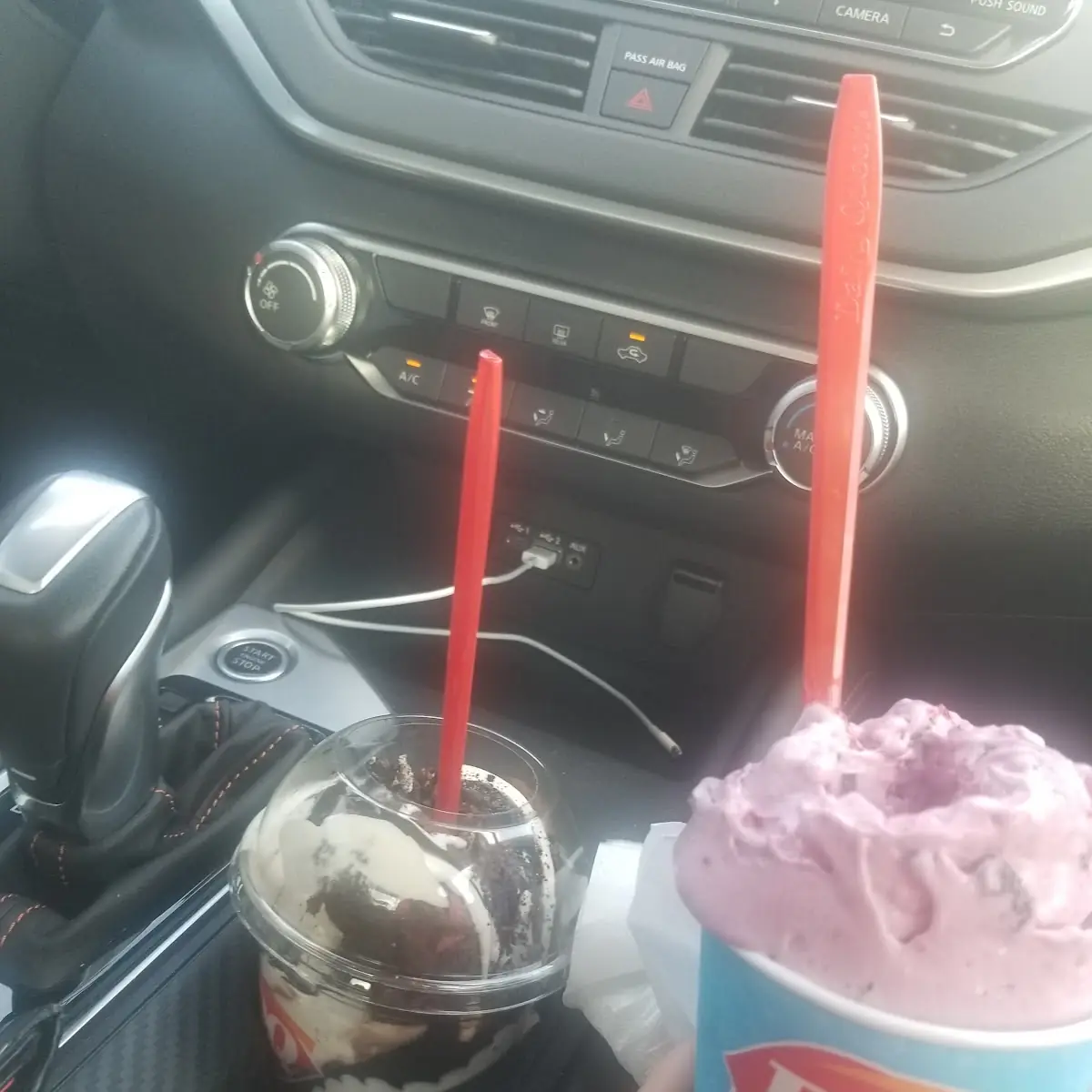 Oreo Shake and Raspberry Blizzard