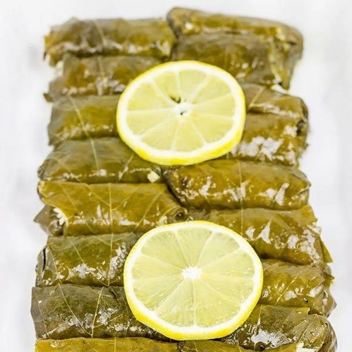 Grape Leaves