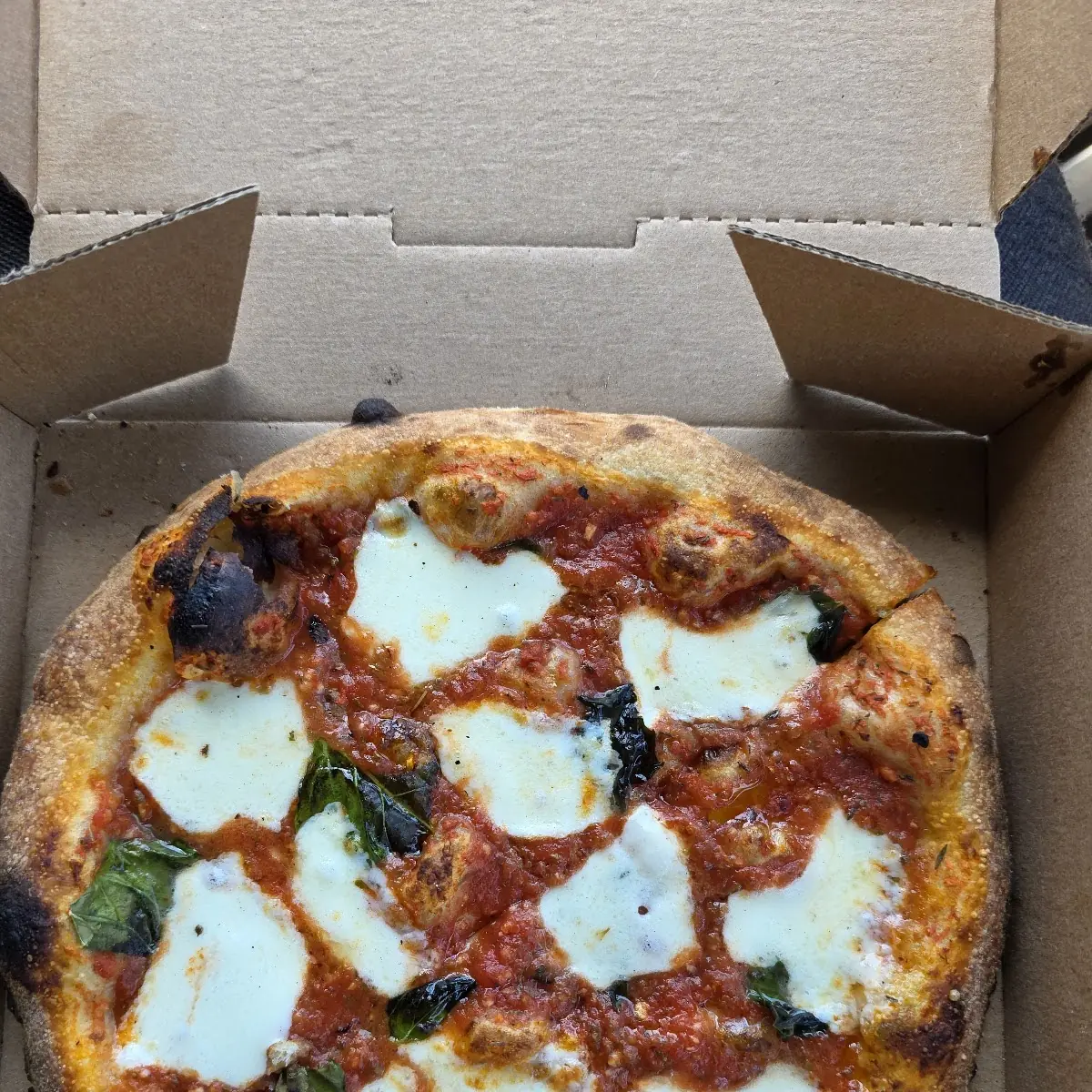 Margherita Specialty Pizza
