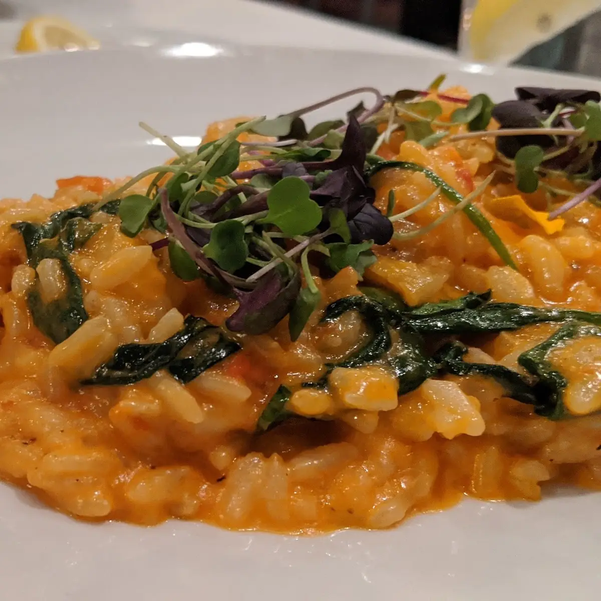 Seafood Risotto