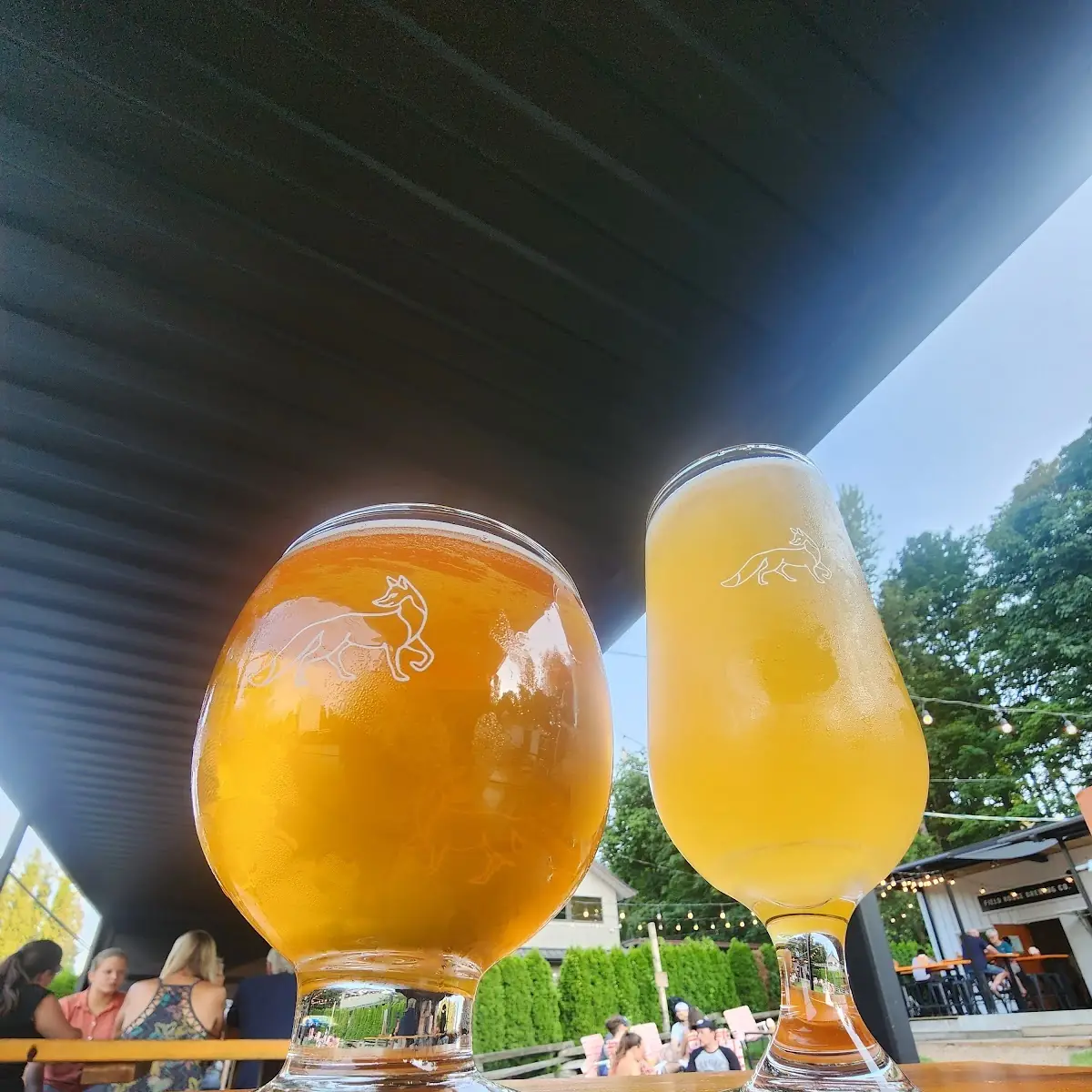 Cold Beer