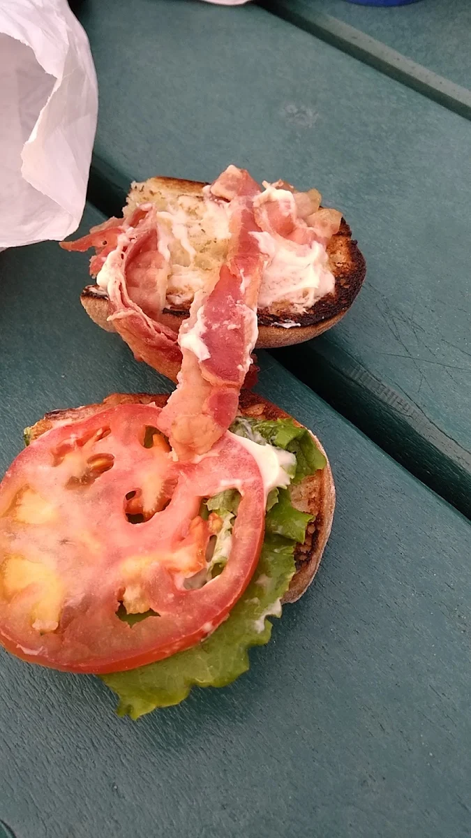 Bagel Timatin🅫 B L T