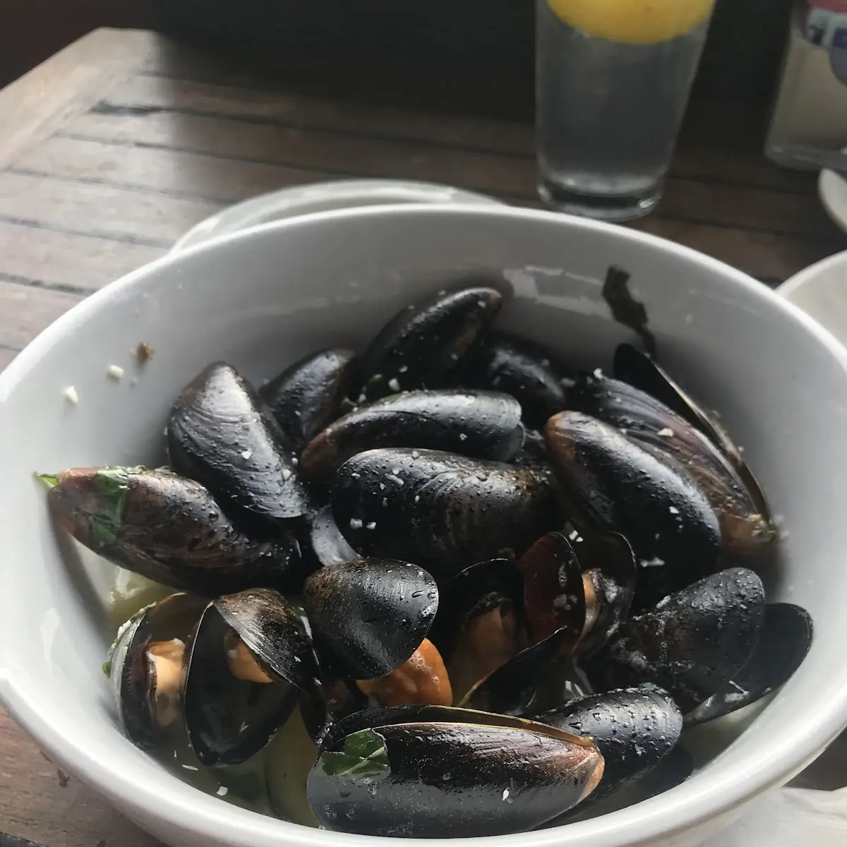 Steamed Mussels