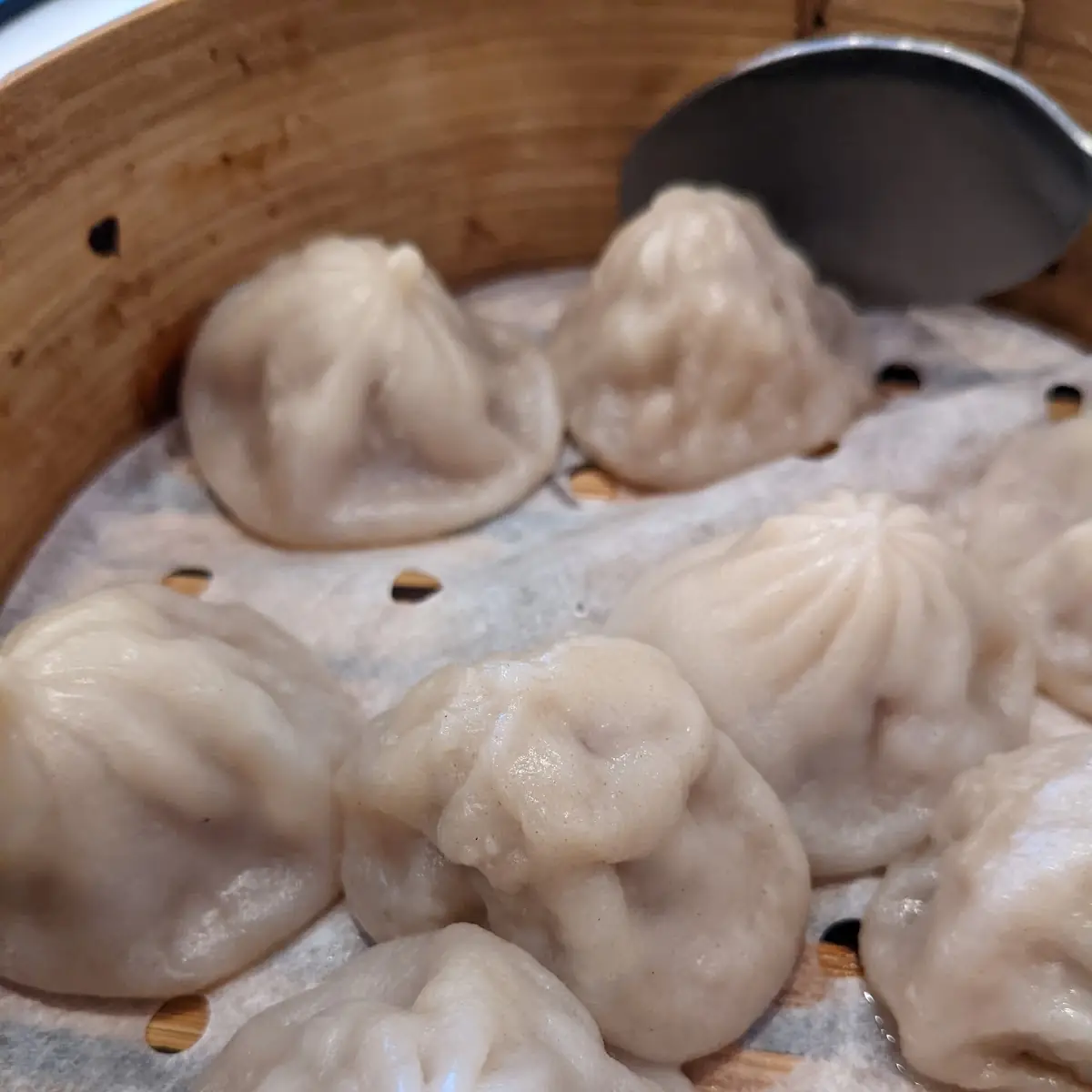 Shanghai Soup Dumplings 8