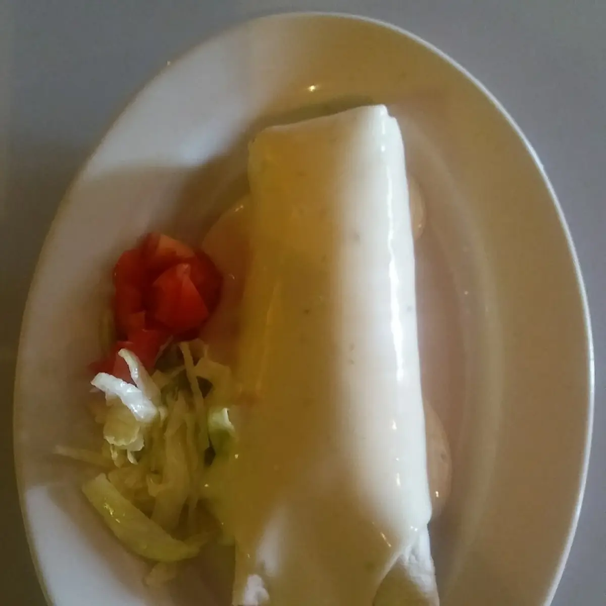 Wet Burrito