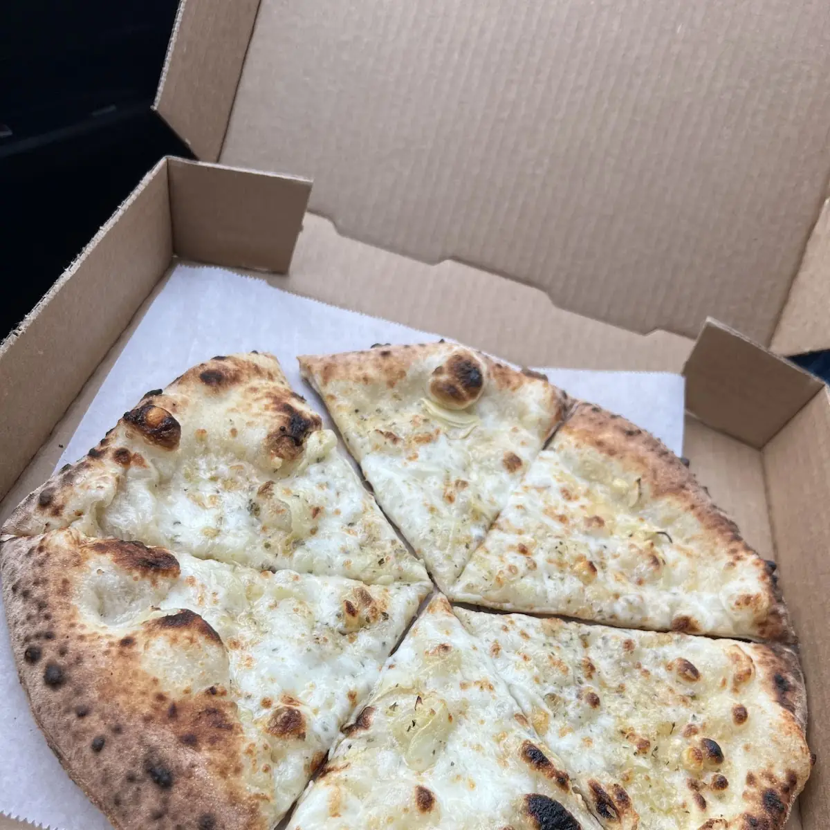 Plain Cheese Pizza V