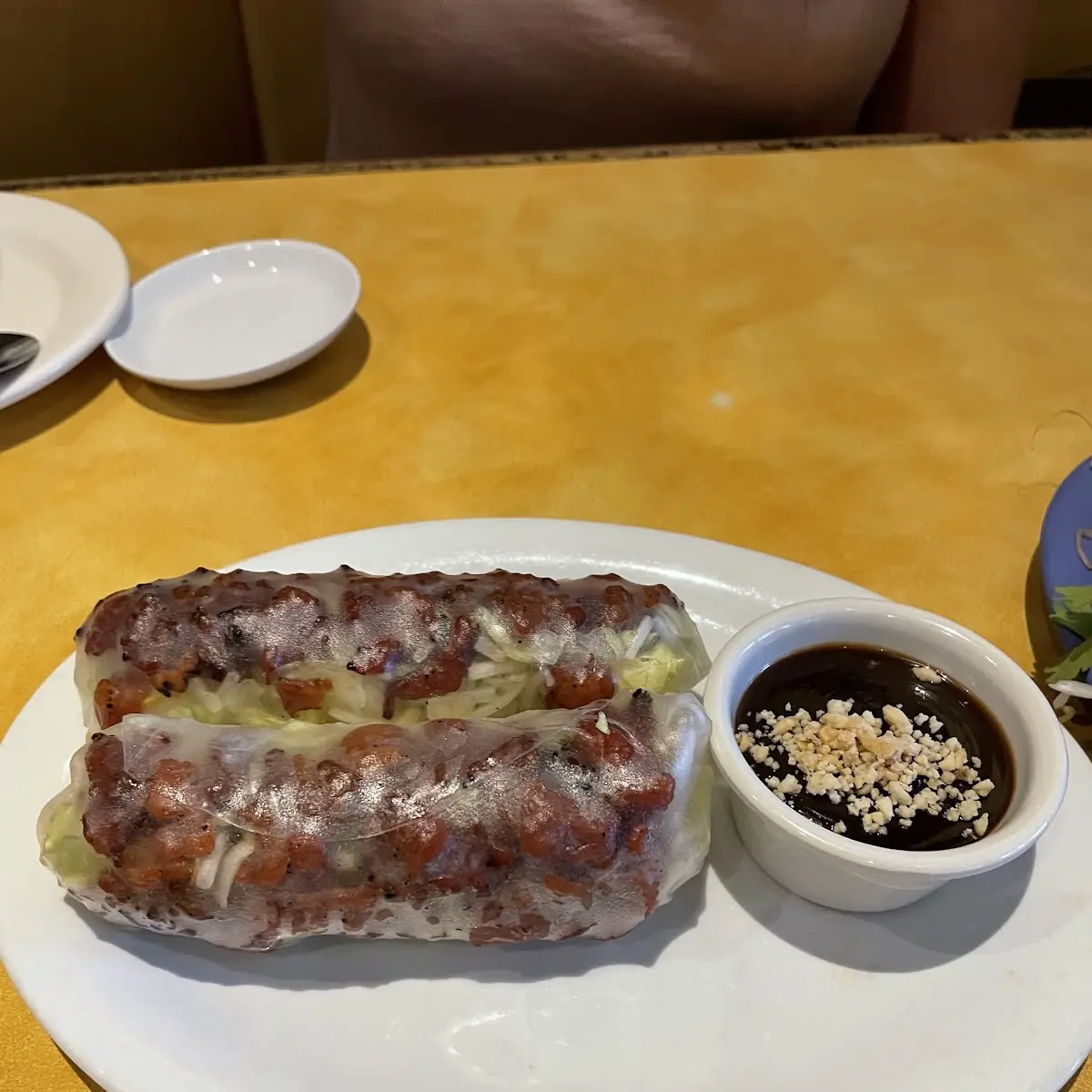 Barbecue Pork Spring Rolls