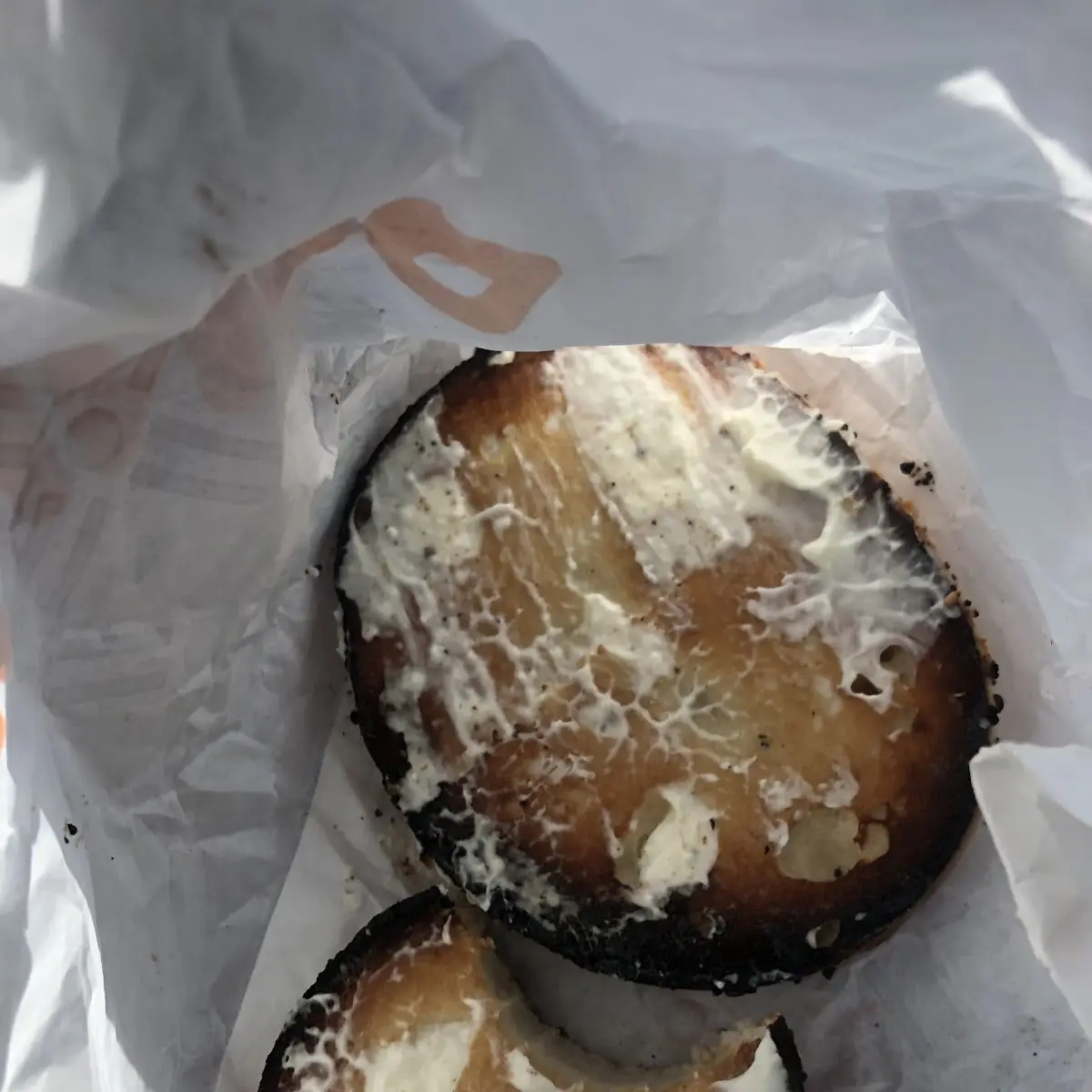 Burnt Everything Bagel with Cream Cheese