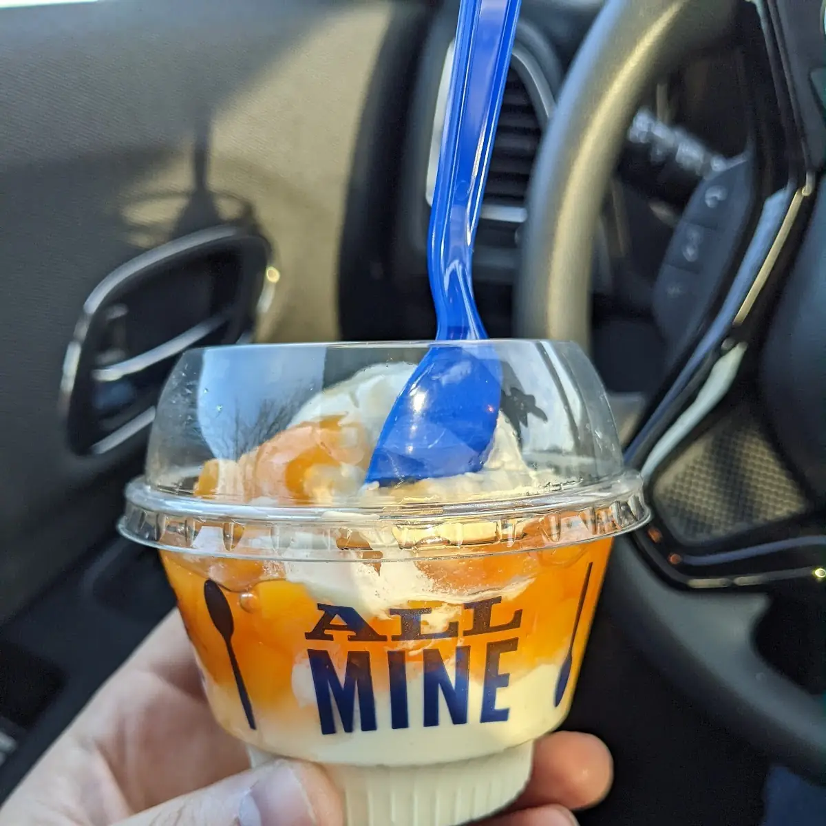 Vanilla Frozen Custard with Peaches