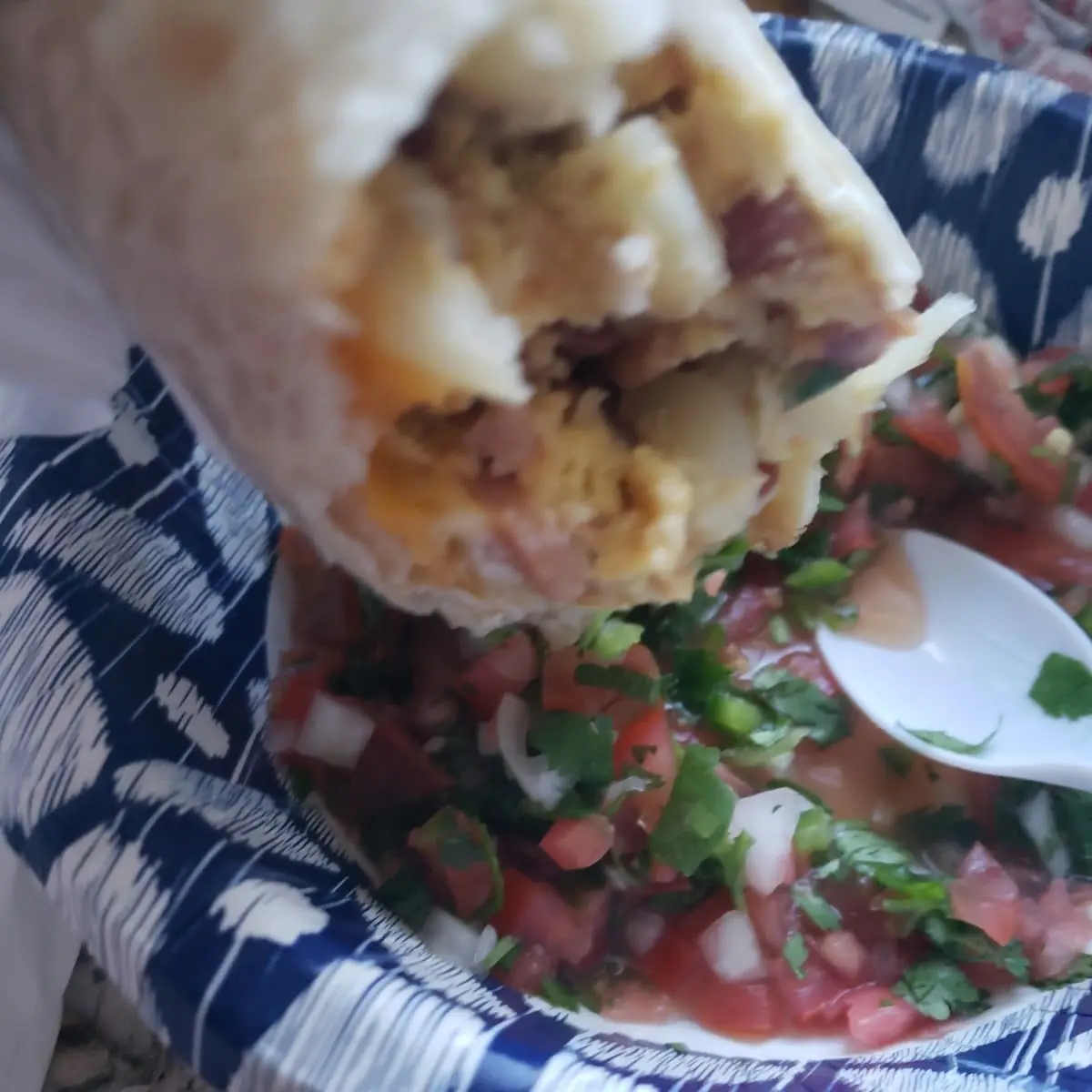 Breakfast Burrito with Salsa on Side