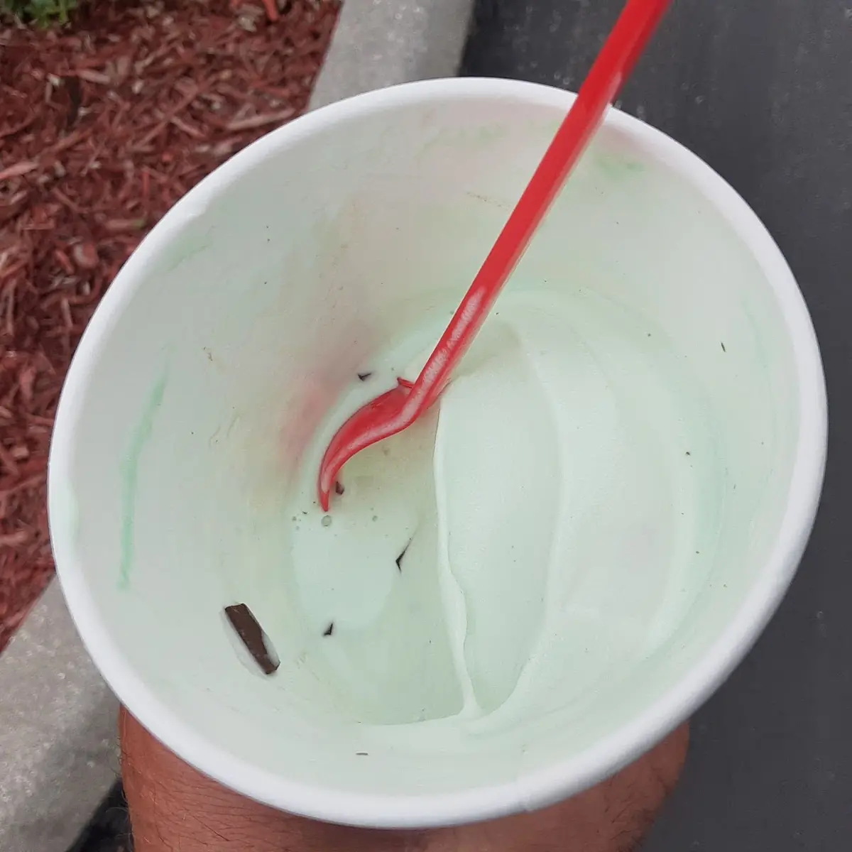 Girl Scout Thin Mint Blizzard