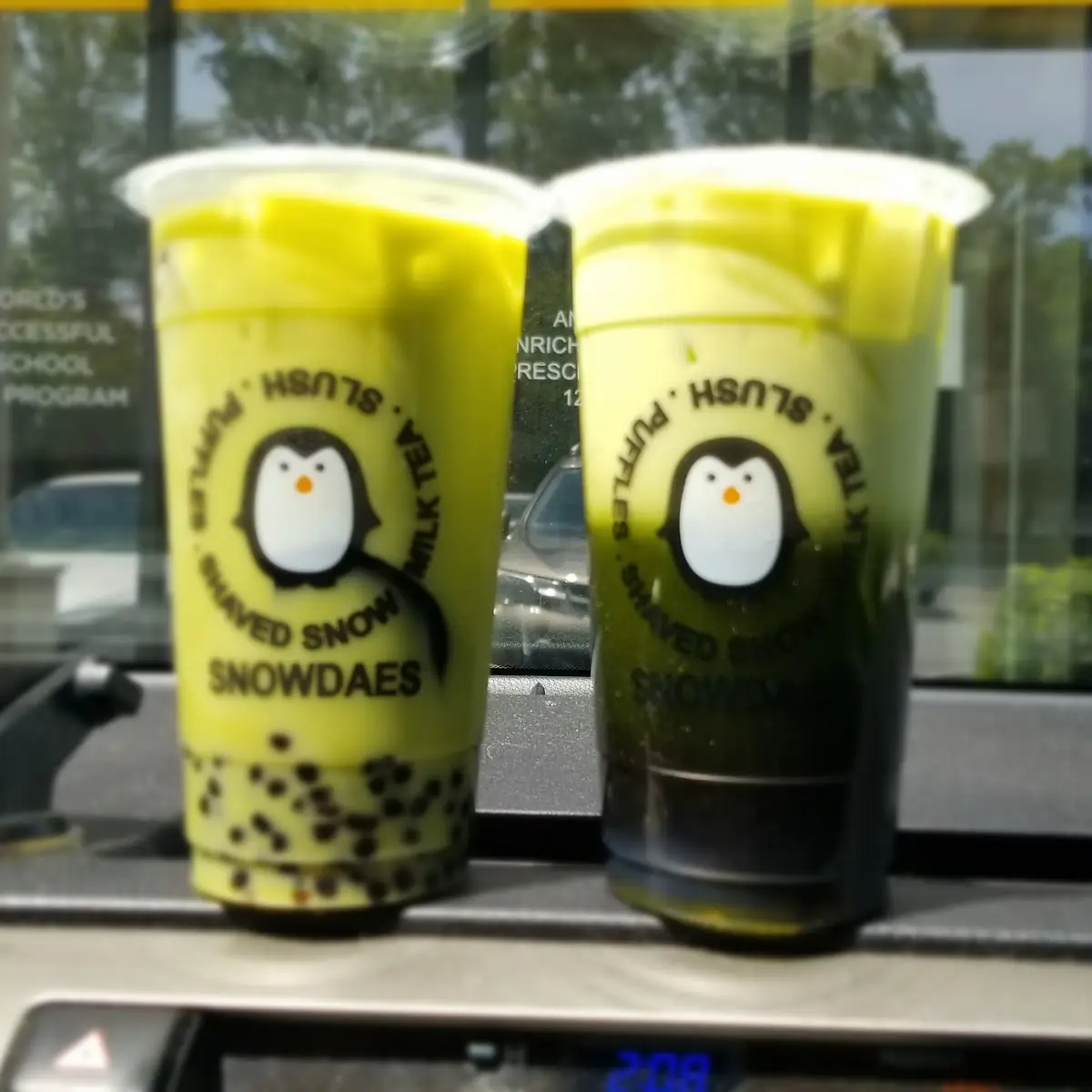 Green Tea Jelly