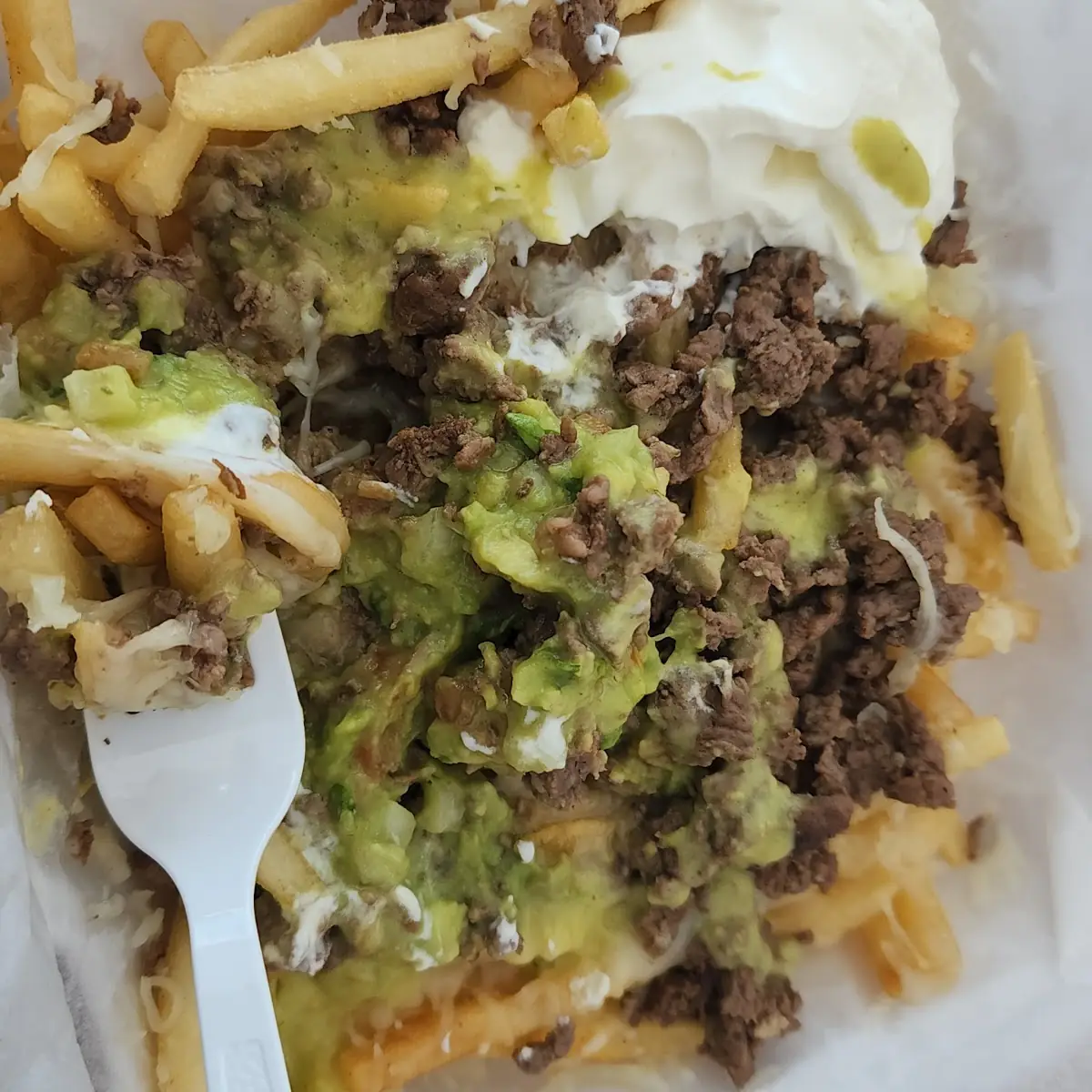 Carne Asada Fries