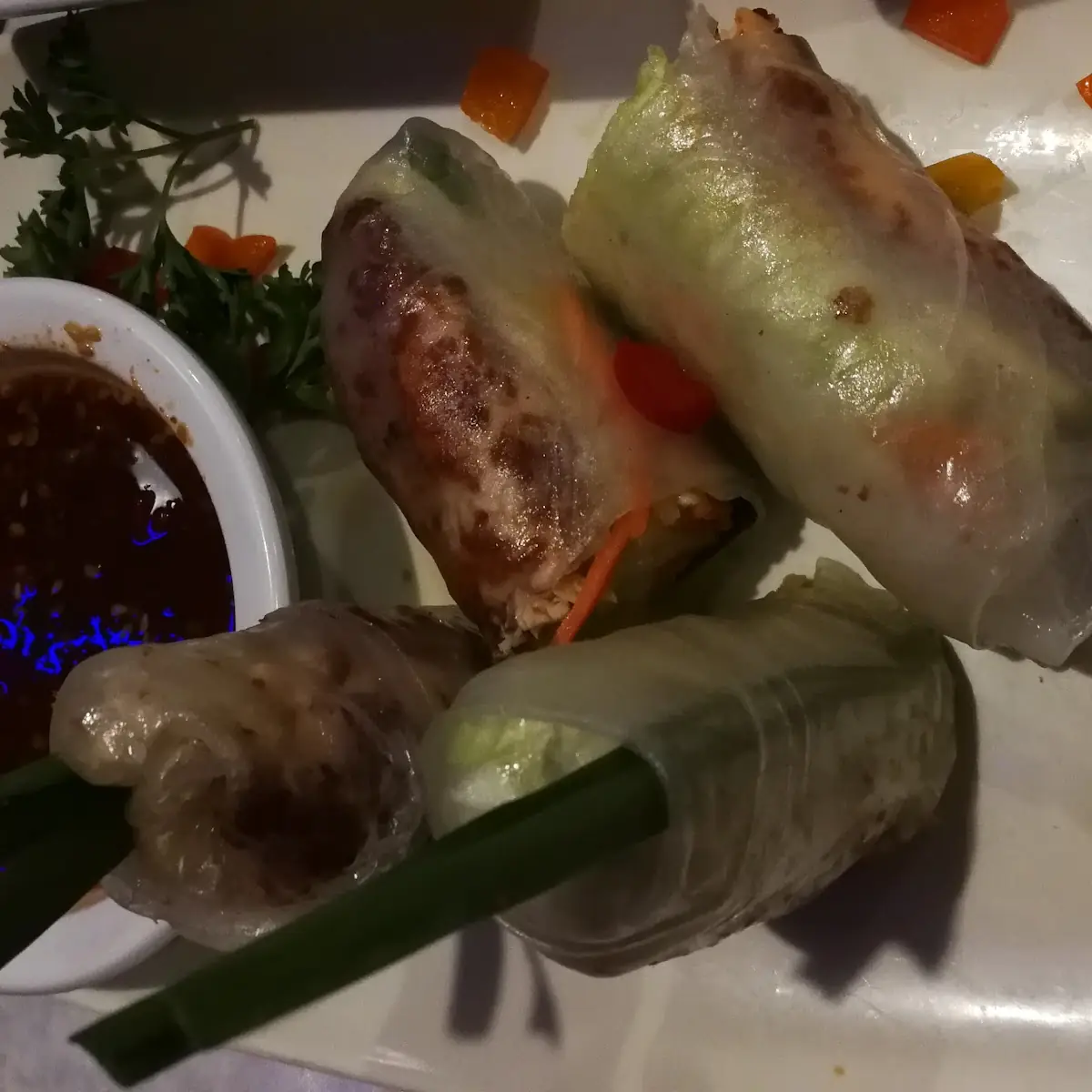Salmon Spring Rolls