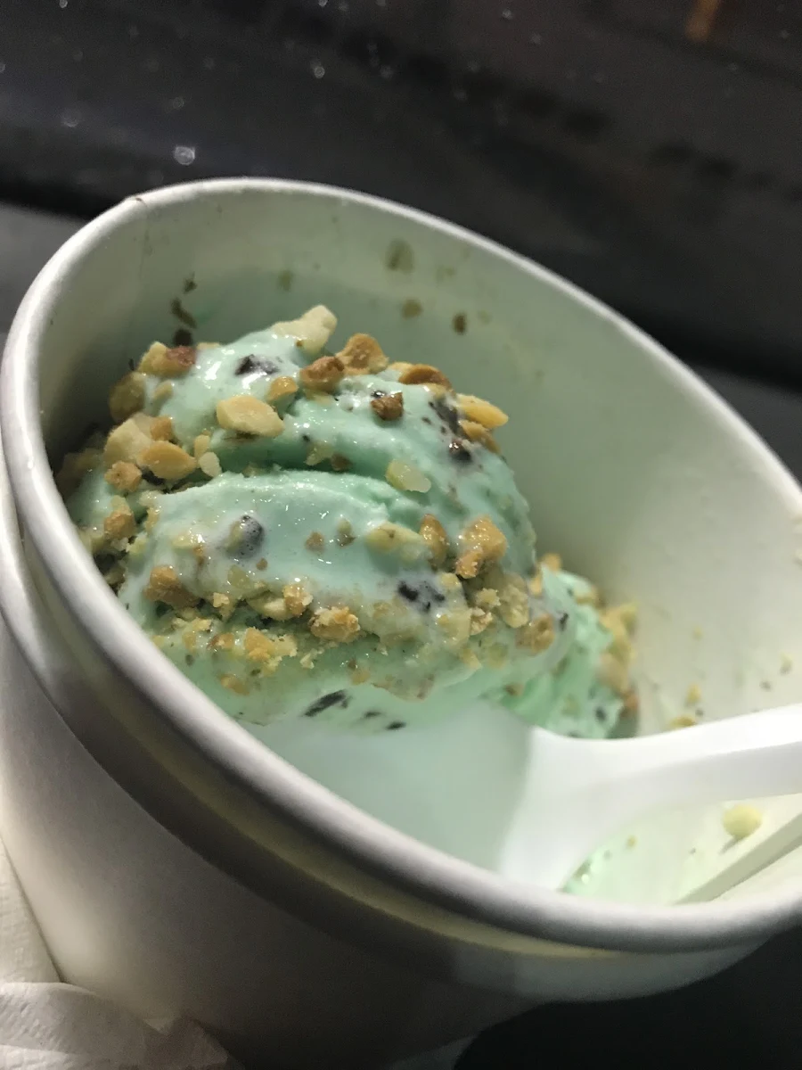Mint Chocolate Chip Ice Cream with Chopped Nuts