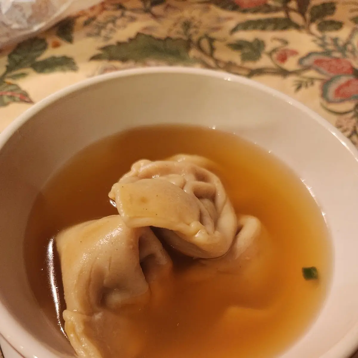 Wonton Soup