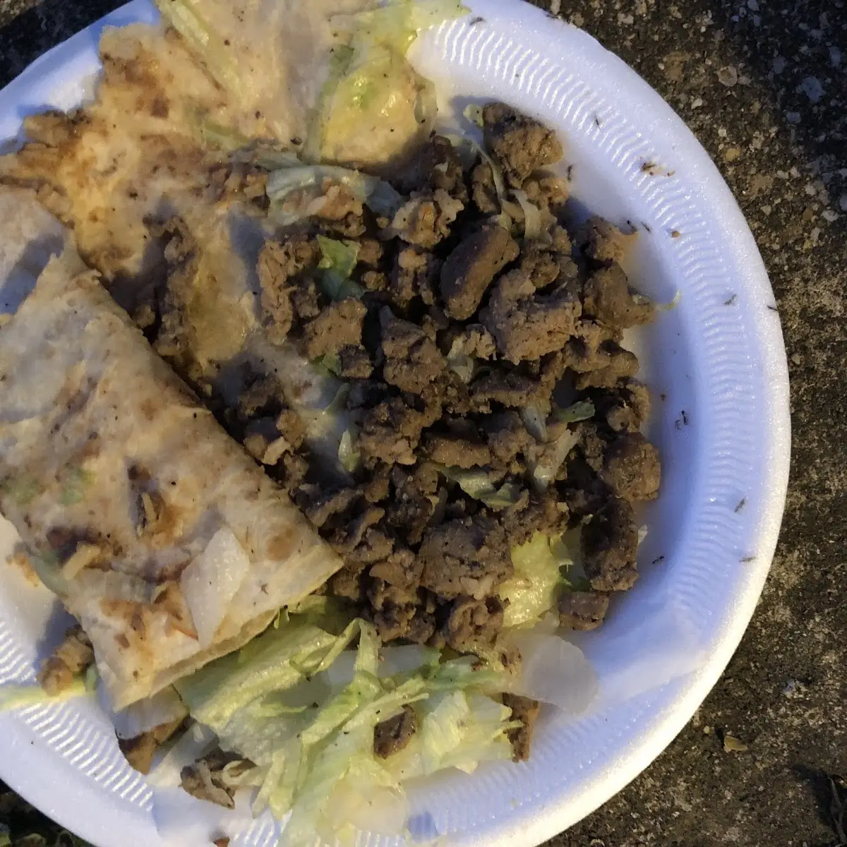 Beef Burrito