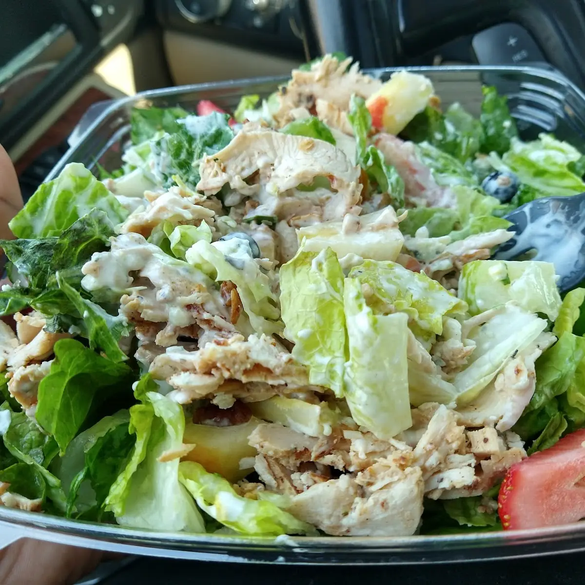 Garden Salad