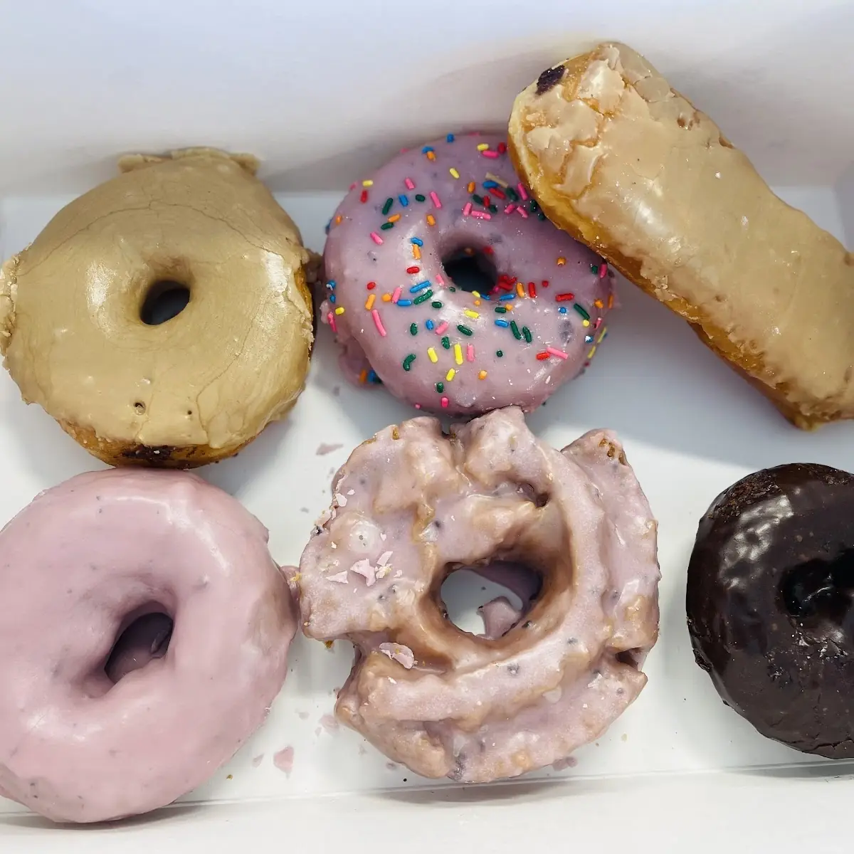 Doughnut