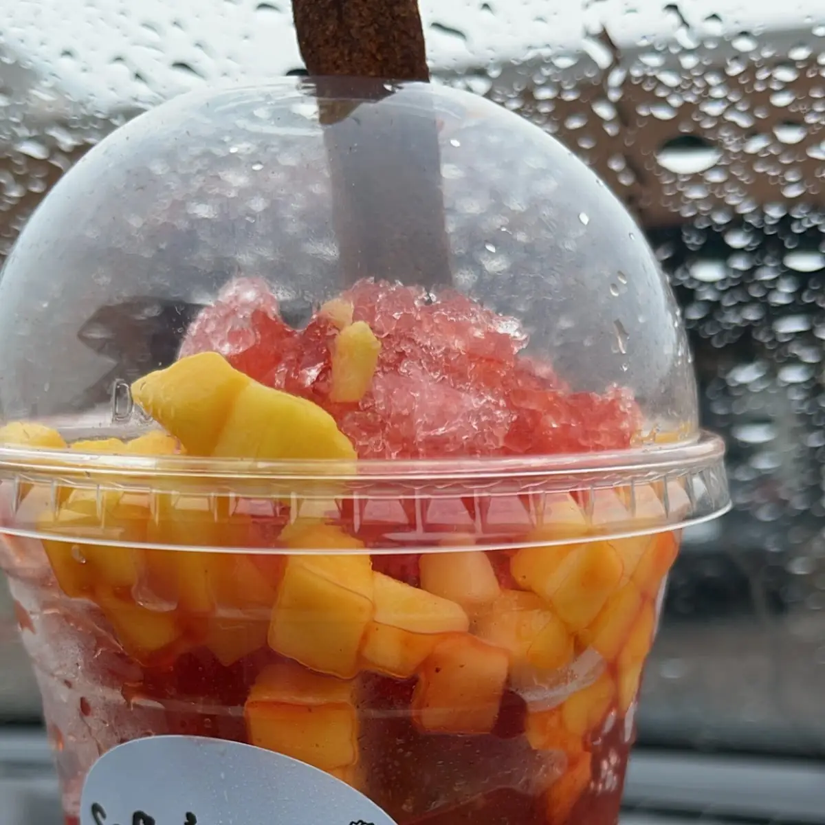 Fruit Cup