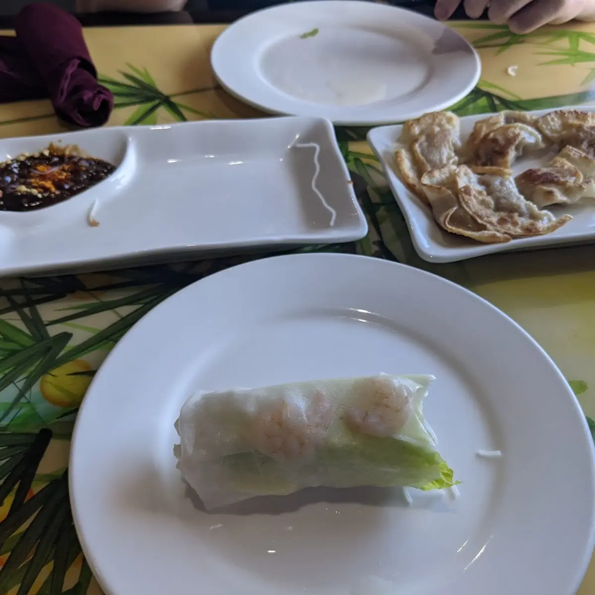 Thai Spring Rolls Pot Stickers